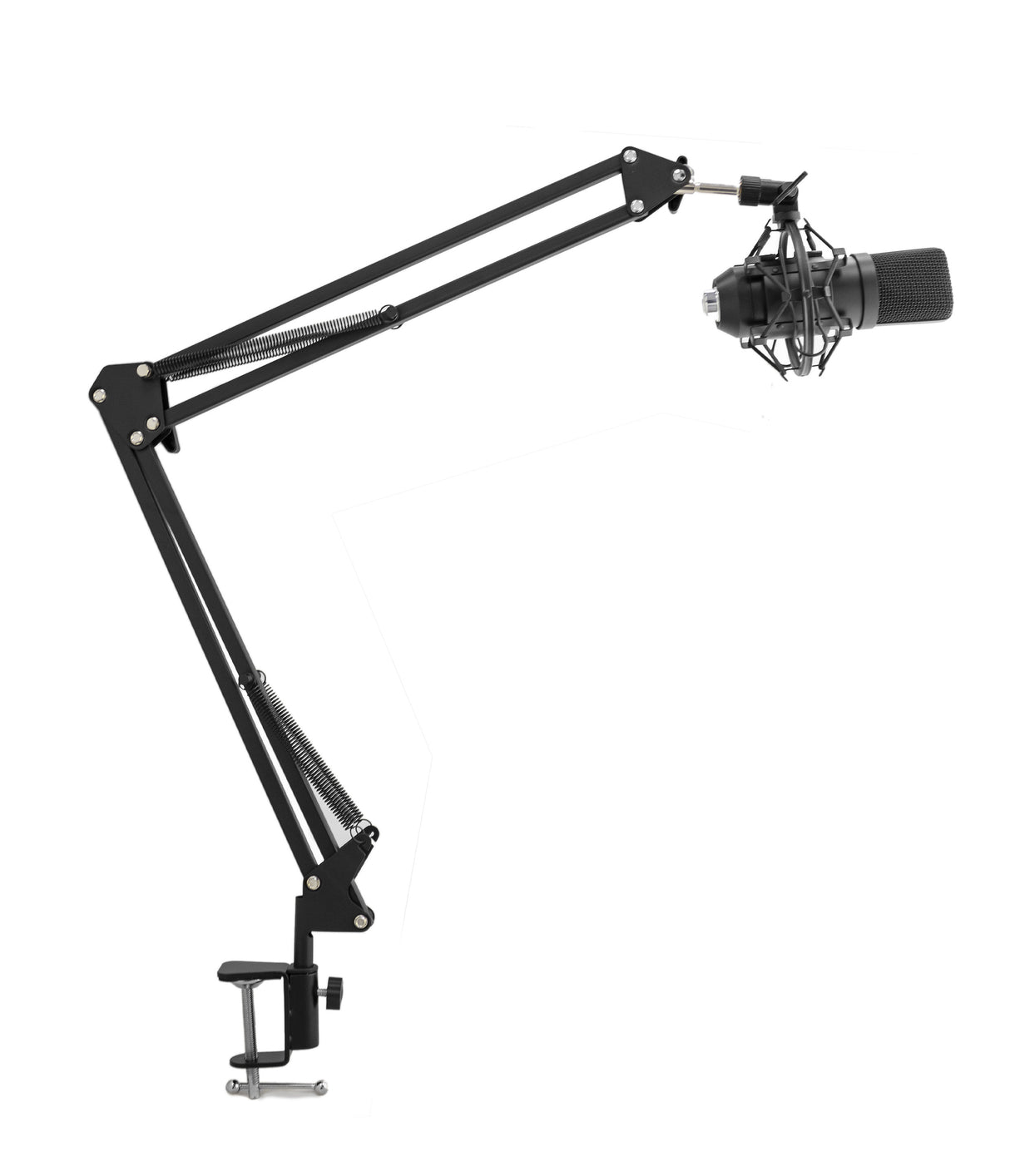 Recording Studio with Microphone