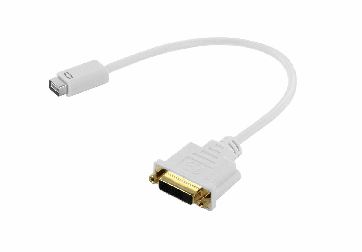 Minidvi Male to Dvi-d Female Adapter Cable (Minidvi-m / 24+1)