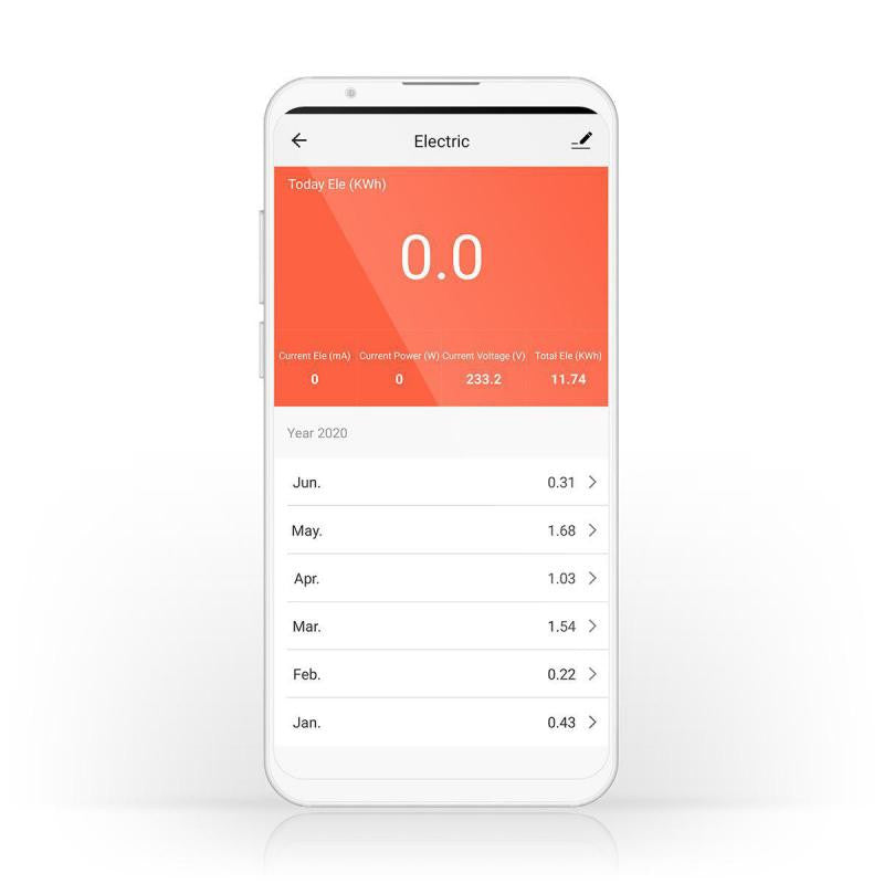 Smartlife Smart Plug 2500W