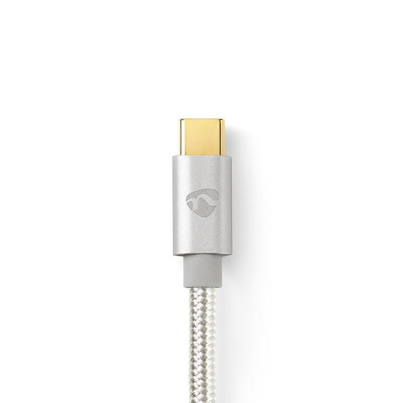 Cabo USB-C para Mini Jack de 3,5 mm (1 m)