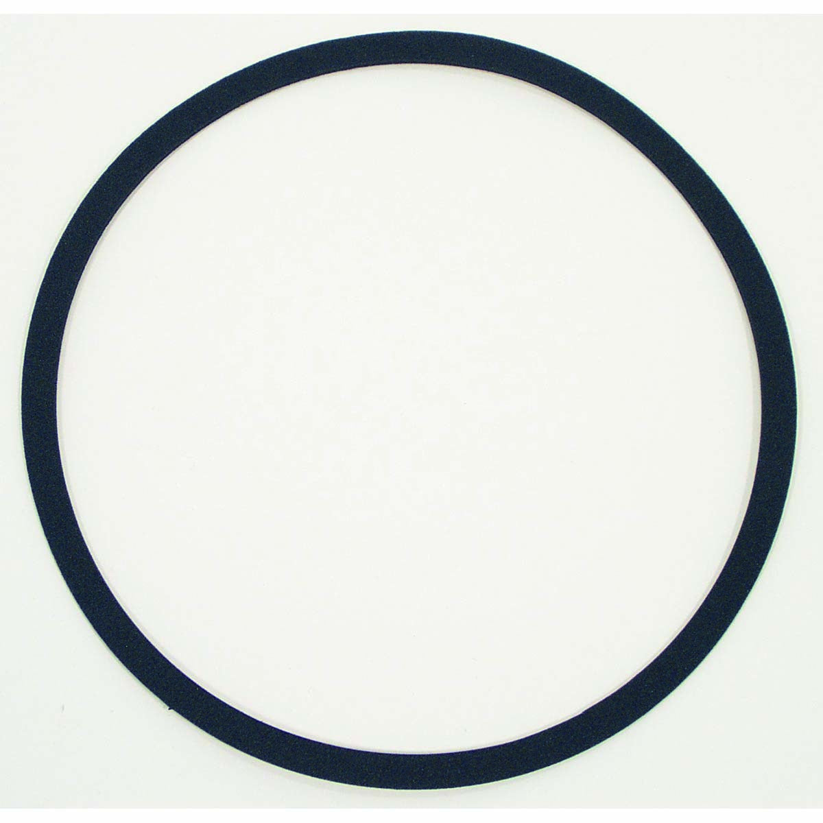 Altifalante de gama completa de 13 cm (5"), resistente à água salgada