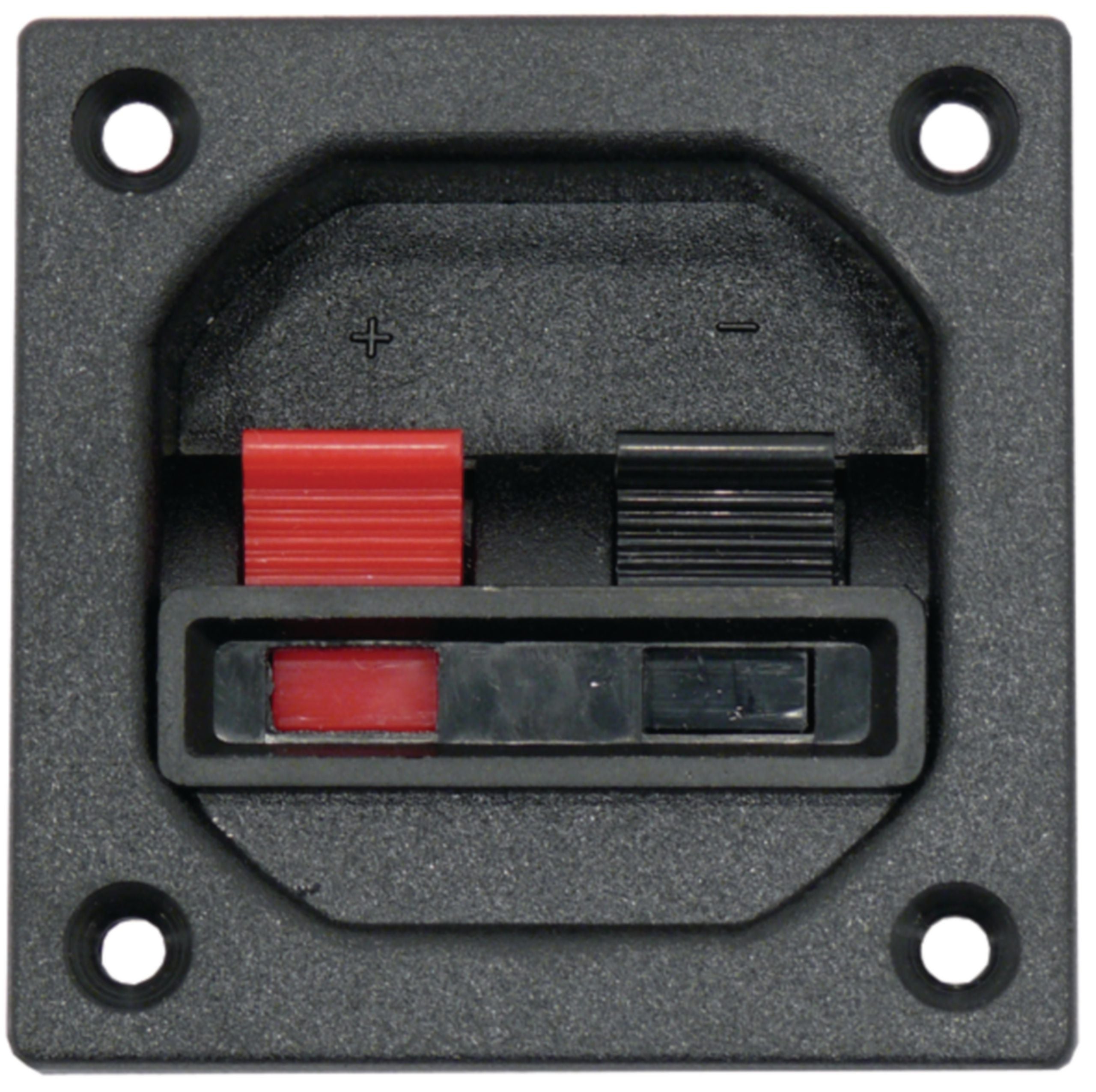 Terminal Para Altavoz