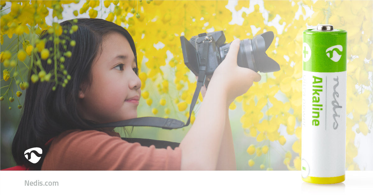 AA Alkaline Battery | 1.5V 20 Units