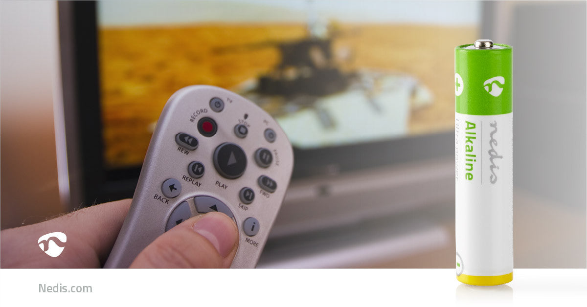 AAA Alkaline Battery | 1.5V 10 Units