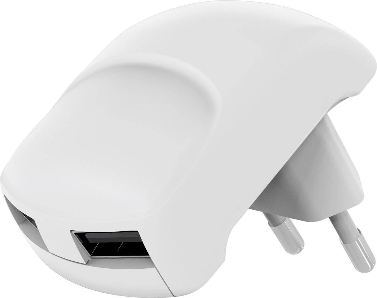 Charger with 2 white USB outputs