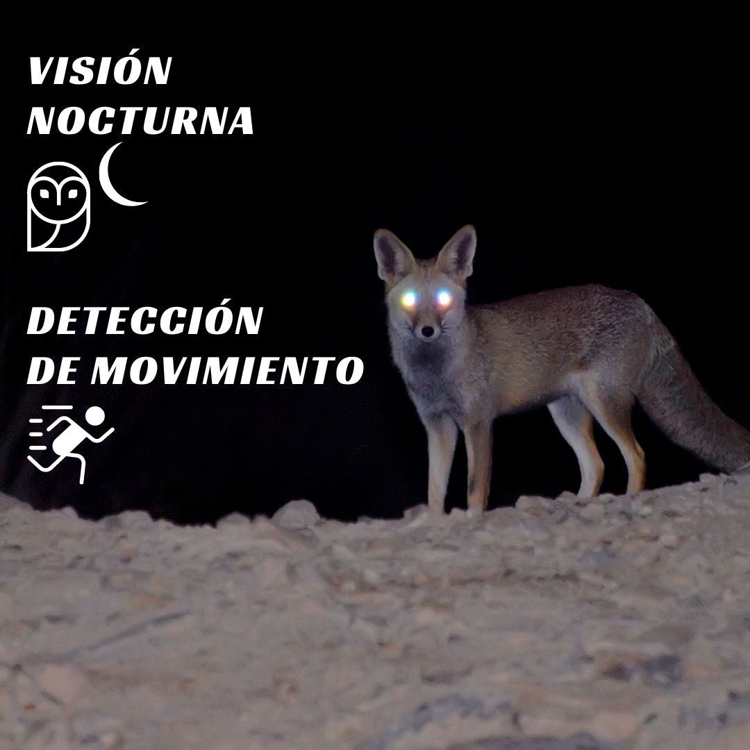 UNIARCH Uho-S1 - WIFI PTZ IP CAMERA 2.1MPX, IR 7MTS, 3.6MM, H.265, INDOOR