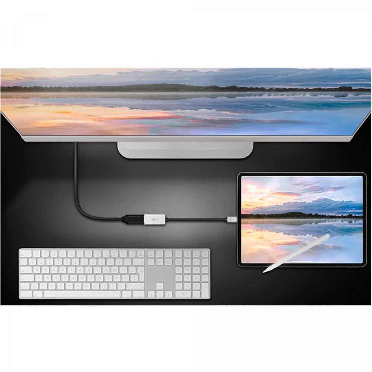 USB-C to DisplayPort Female Adapter 0.15m Length