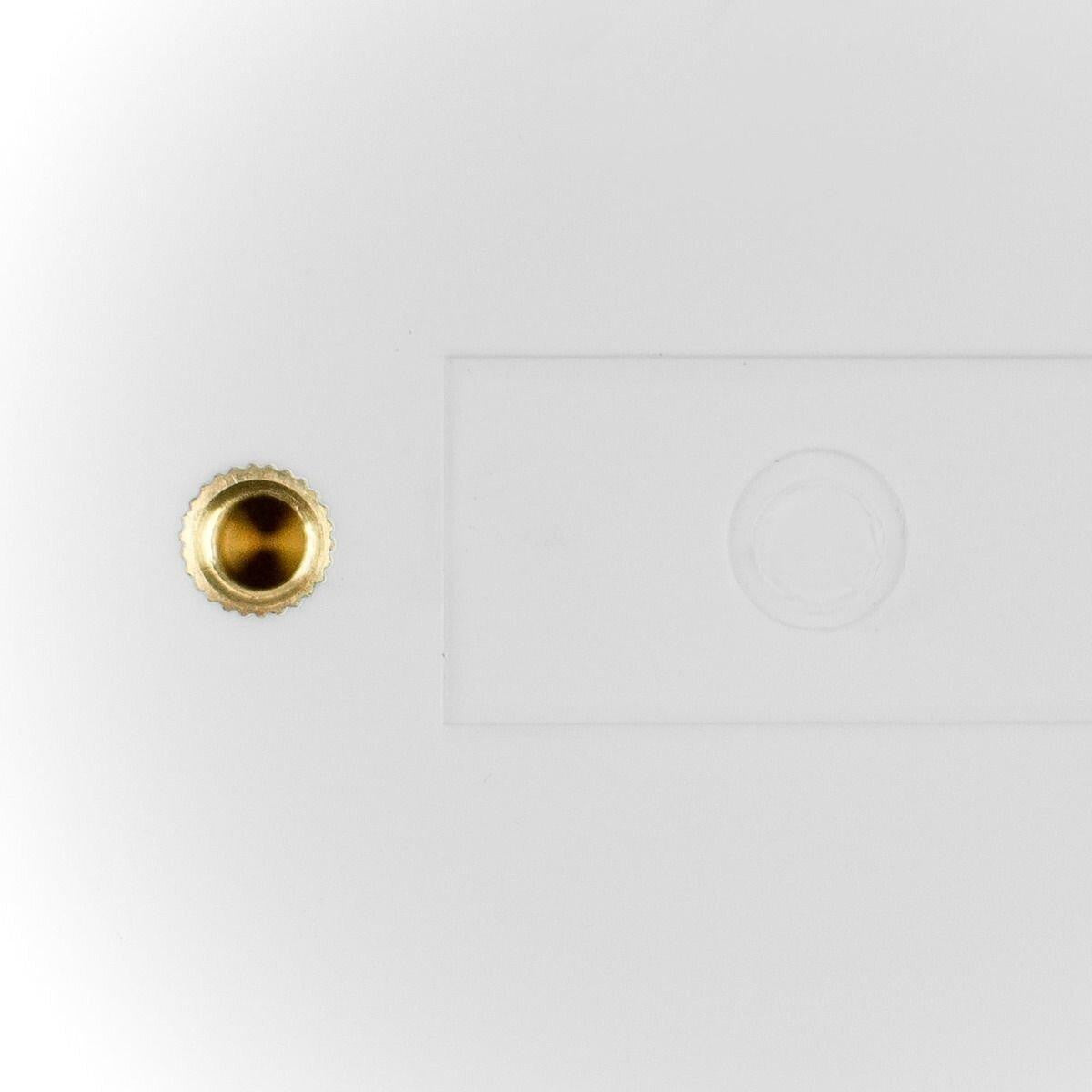 6 Full Range Wall Speaker | Low Impedance | 30W RMS | 60W | White