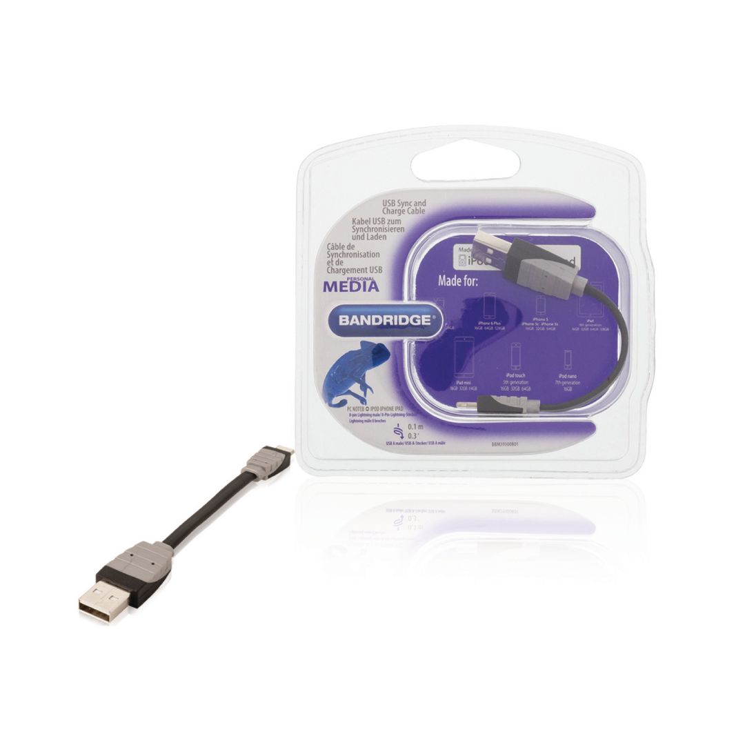 USB Charging and Sync Cable A Male - Lightning 8 Pin 0.10 m in Black Color