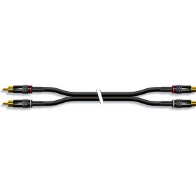 Cable de Audio Estereo con Conectores 2 x RCA Macho en un Extremo y Hembra Metalicos 10 m Adaptador