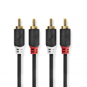 Cable de Audio Estéreo | 2x RCA Macho - 1,0 m Antracita | Caja