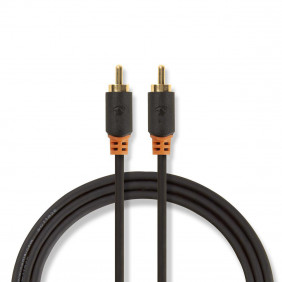 Cable de Audio Digital | RCA Macho - 1,0 m Antracita
