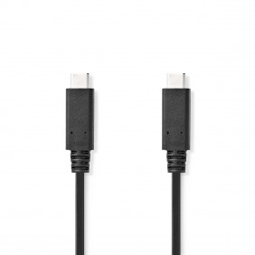 Cable USB 3.1 (Segunda Generación) | Tipo C Macho - 1,0 m Negro