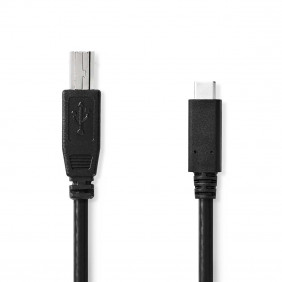 Cable USB 2.0 | Tipo C Macho - B 1,0 m Negro