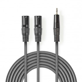 Cable de Audio XLR | 2x 3 Pines Macho - 3,5 mm 3,0 m Gris