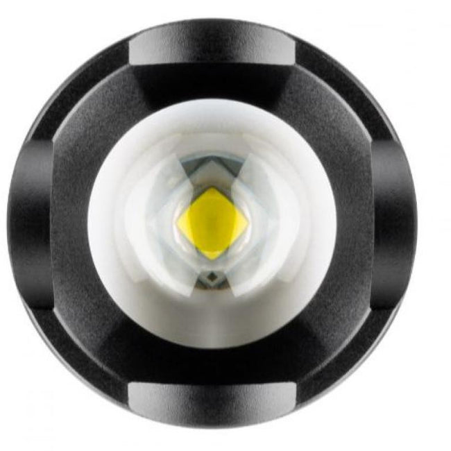 Lanterna LED de 300 lúmens