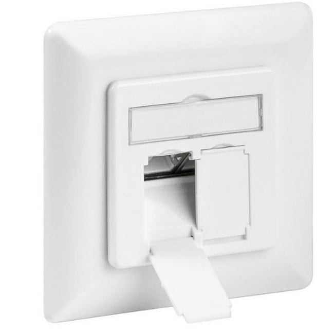CAT 6 Wall Plate UTP Box