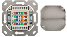 Caixa de parede UTP CAT 6