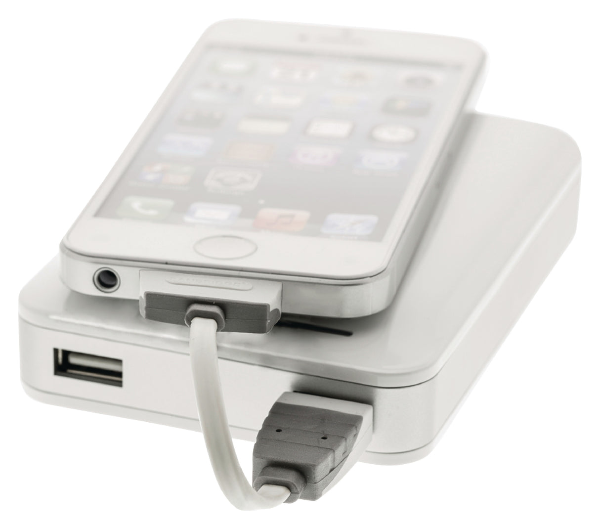 Cable USB de Carga y Sincronización A Macho - Base Conexión Apple 30 Pines 0,10 m