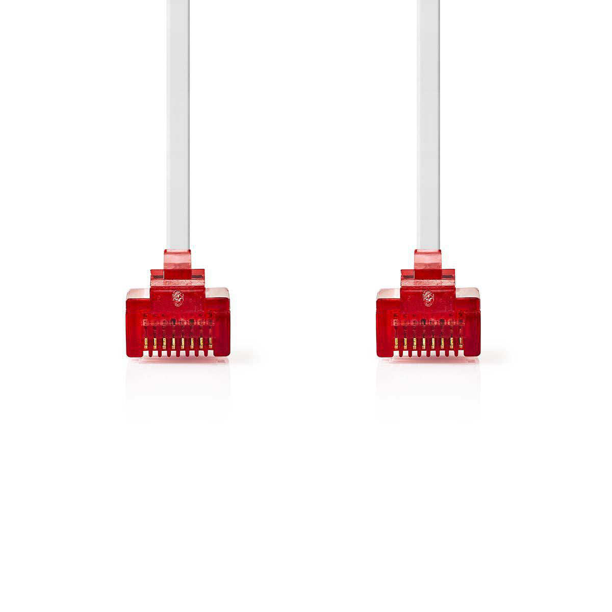 Cable de Red Cat6 UTP | Rj45 Macho - 3,0 m Blanco
