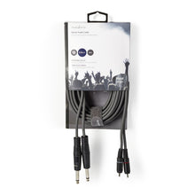 Stereo Audio Cable 2x 6.35 mm Male to 2x RCA Male