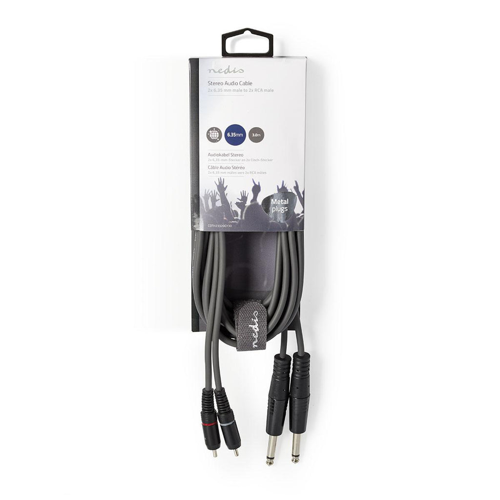 Stereo Audio Cable 2x 6.35 mm Male to 2x RCA Male