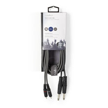 Stereo Audio Cable 2x 6.35 mm Male to 2x RCA Male
