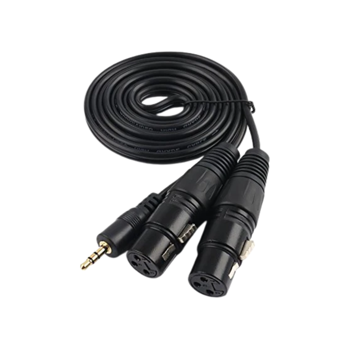 Cable de Audio Minijack 3.5 mm Estereo a 2 XLR Hembra L/R 2,00m