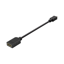 Micro HDMI to 0.20cm Female