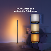 Govee RGBIC Smart Floor Lamp + White 1000 lm (H8076)