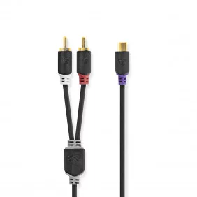 Cable Para Subwoofer | 2x RCA Macho - Hembra 0,2 m Antracita Cables