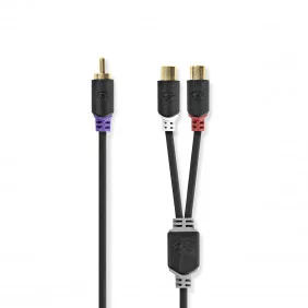 Cable Para Subwoofer | RCA Macho - 2x Hembra 0,2 m Antracita