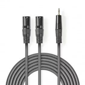 Cable de Audio XLR | 2x 3 Pines Macho - 3,5 mm 3,0 m Gris