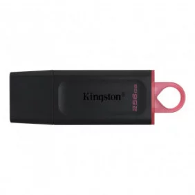 Kingston DataTraveler Exodia DTX 256GB USB3.0